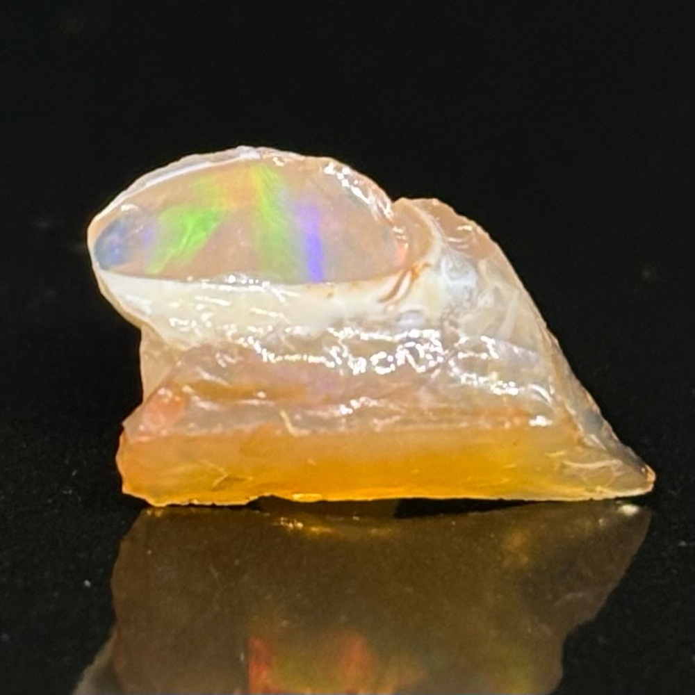 Mexican Fire Opal Snail Specimen With A Beautiful Head Of Colors For Displaying